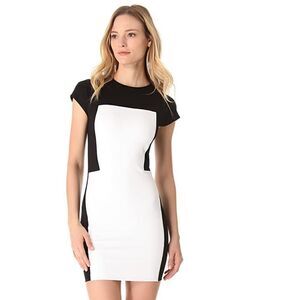 TORN BY RONNY KOBO Zoara Black and White Dress Women’s Size Large